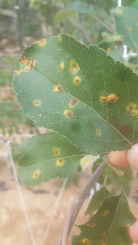 첨부 이미지