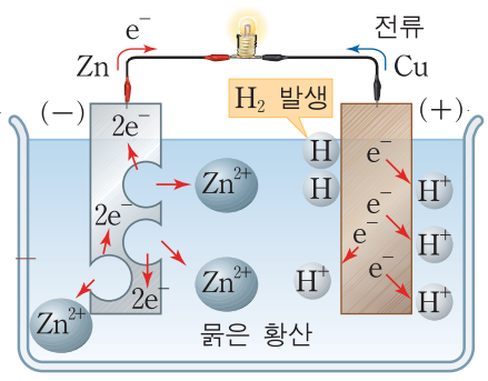 표준환원전위 표준환원전위