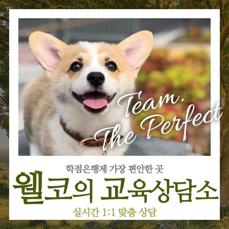 사이버대학 학점은행제 뭐가 좋아요 ?? : 지식In