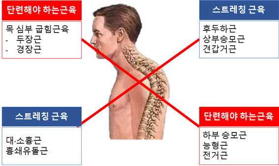 스윗피티샵 이미지