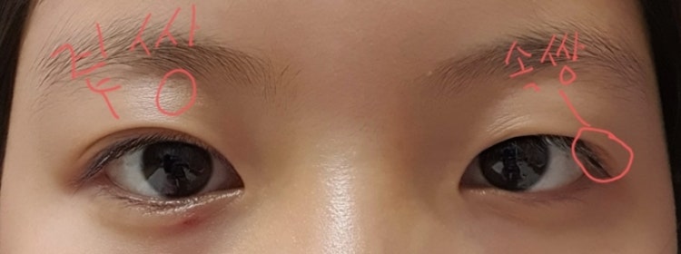 속쌍 겉쌍으로 만들기 : 지식iN