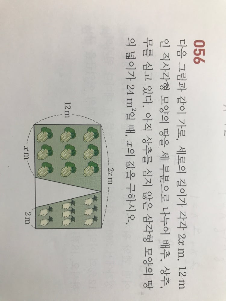 일차방정식 활용 : 지식iN