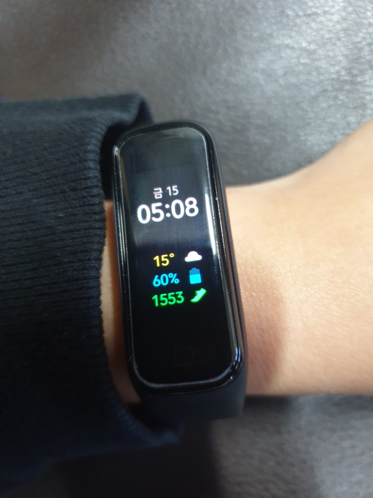 mit fit 2