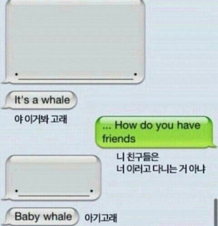 밀터칼국수 이미지