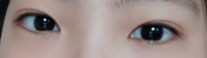 겉쌍, 속쌍 구분하는 법좀요 : 지식iN