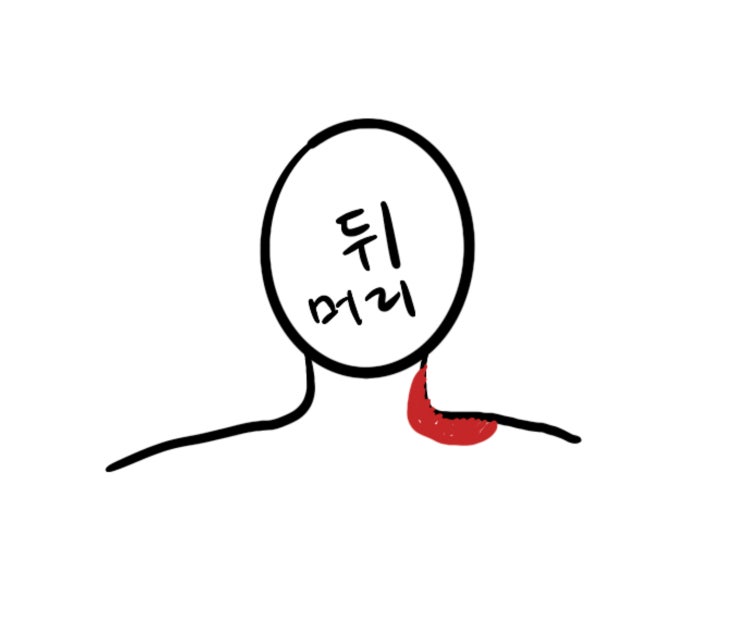 목 돌릴 때 오른쪽 어깨 통증 : 지식In