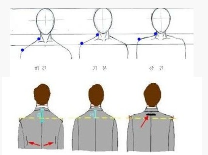 어깨?쇄골? 상견 중견 하견 : 지식iN