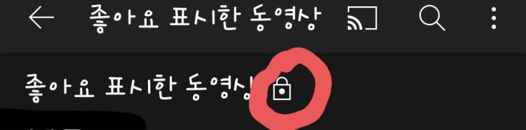 유튜브 좋아요 표시한 동영상 : 지식iN