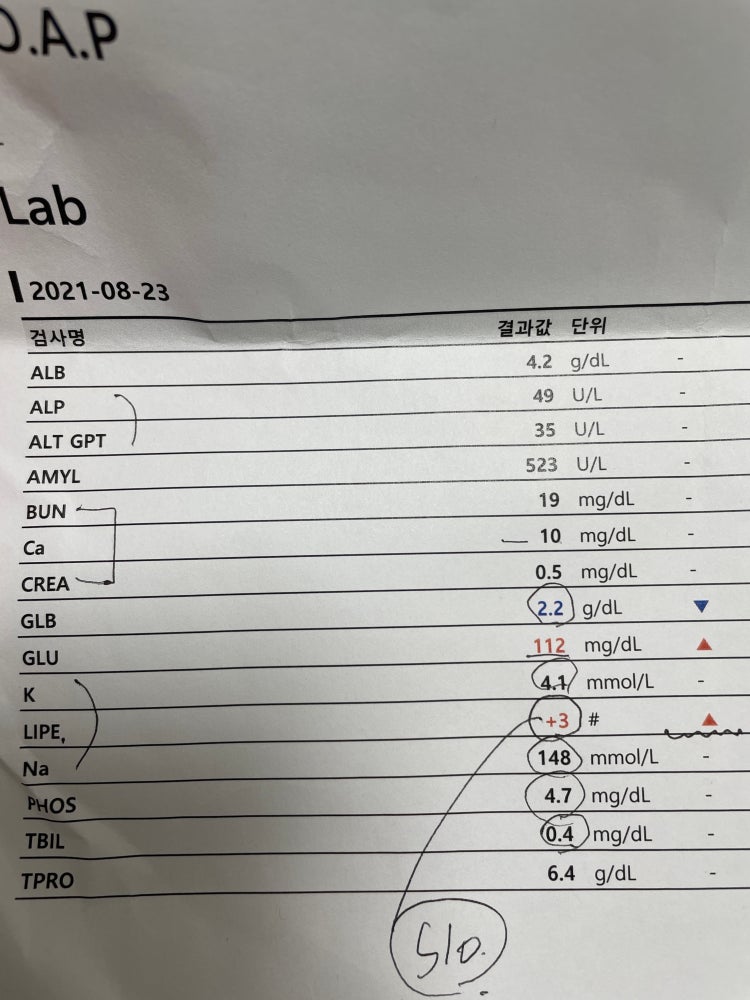 강아지 혈액검사 결과 지식in 9727