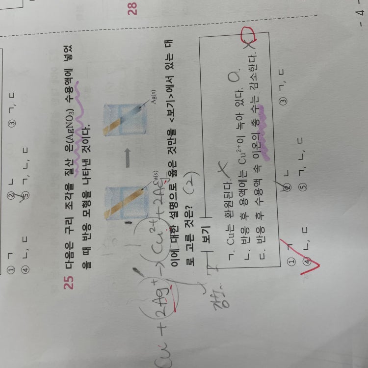 산화 환원 반응 질산 은 수요액 지식in