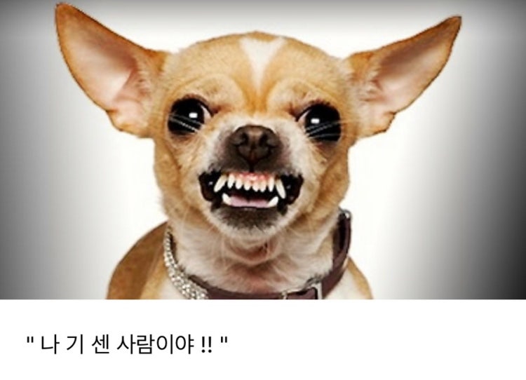 연예인 이름… 그 약간 예능인? 암튼 : 지식iN