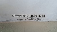 프로필 사진