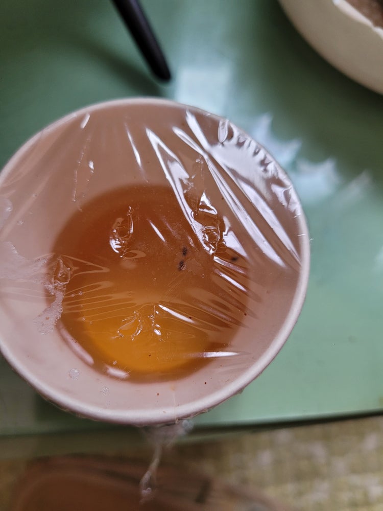 벼룩파리 알 빨간색인가요? : 지식iN