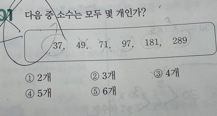 중1 소수와 합성수 : 지식iN
