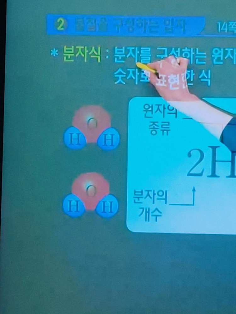분자식 화학식 : 지식iN