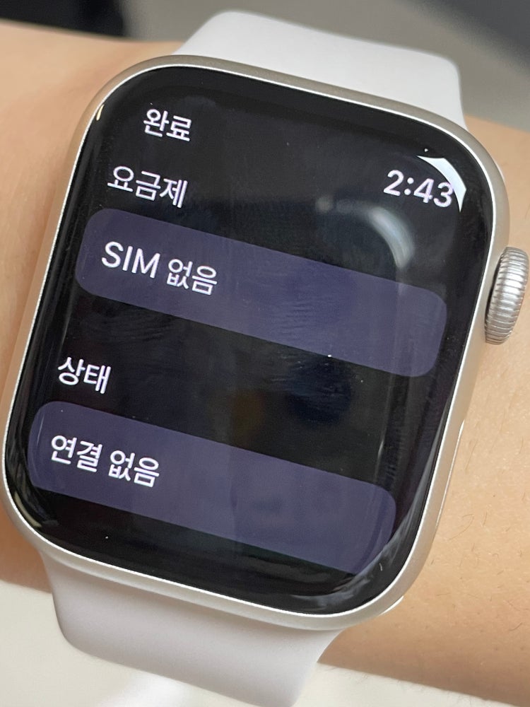 애플워치 7 셀룰러모델 연결하는법 : 지식In