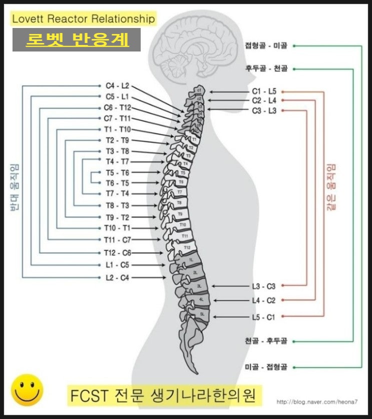 알로벳 이미지