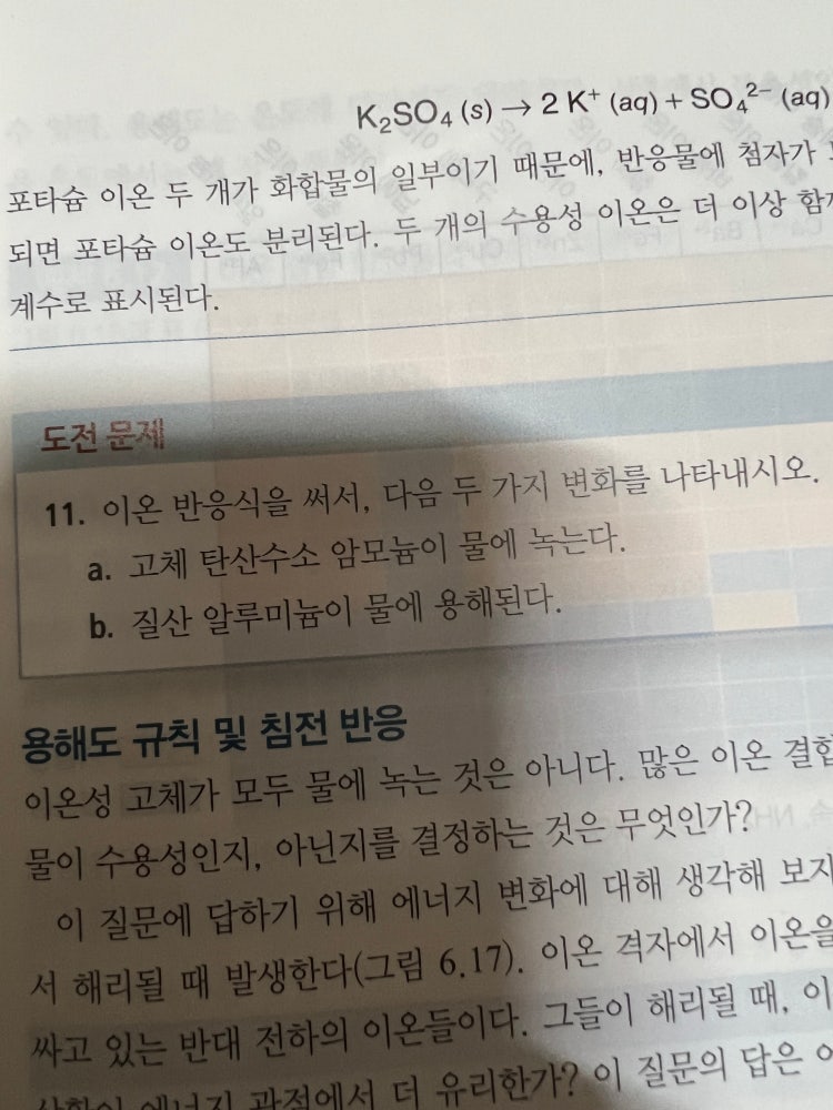 화학 이온 반응식 문제 질문 내공100 : 지식In