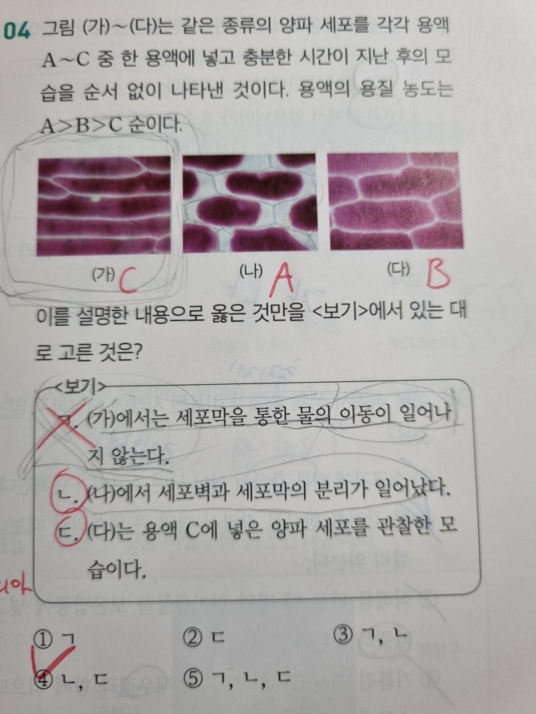 삼투 현상 문제 질문 : 지식iN