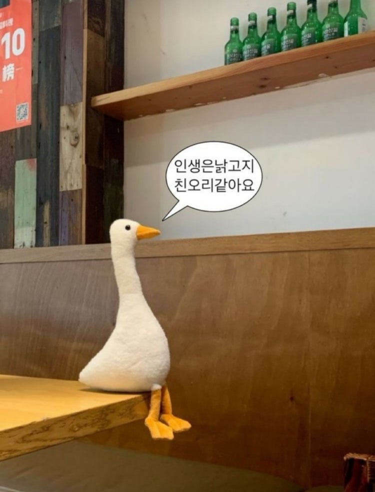 이 오리인형 어디서 살 수 있나요?ㅠ : 지식iN