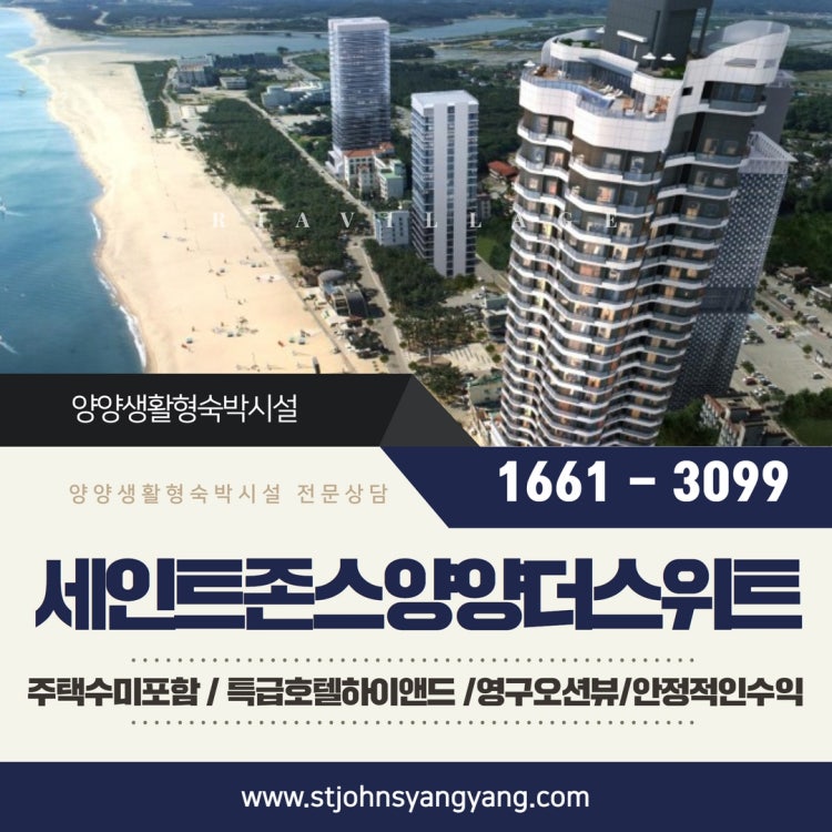 세인트 더 스위트 양양 강원 애견숙소