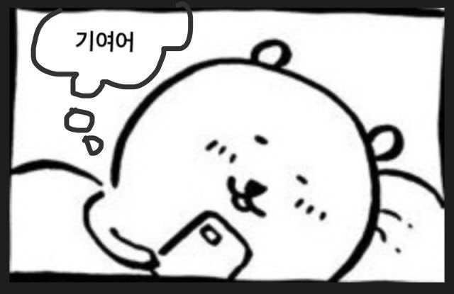 농담곰 누워서 폰 보는 짤 : 지식In
