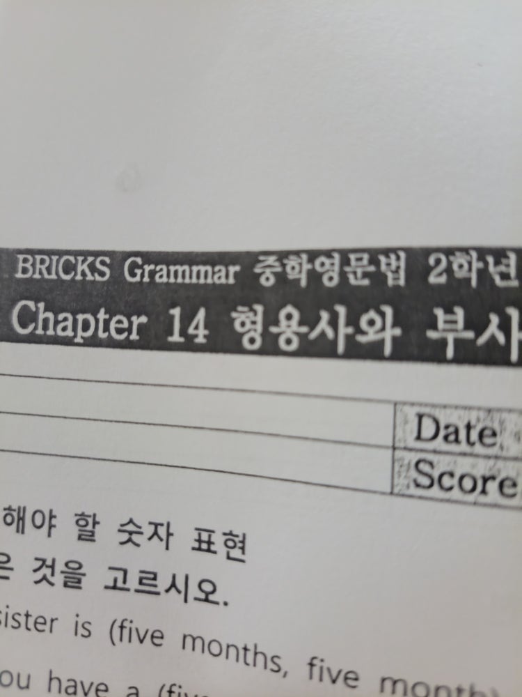 Bricks Grammar 중학영문법 2학년 답지좀 주세요 ㅠㅠ 지식in 8488