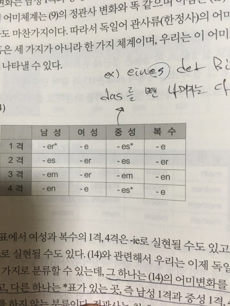 독일어 관사 규칙 표 : 지식iN