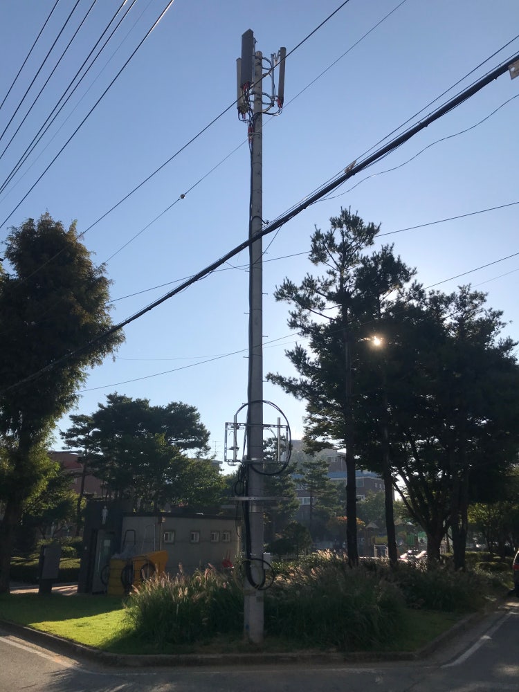 KT 전선과 연결되는 전봇대 : 지식iN