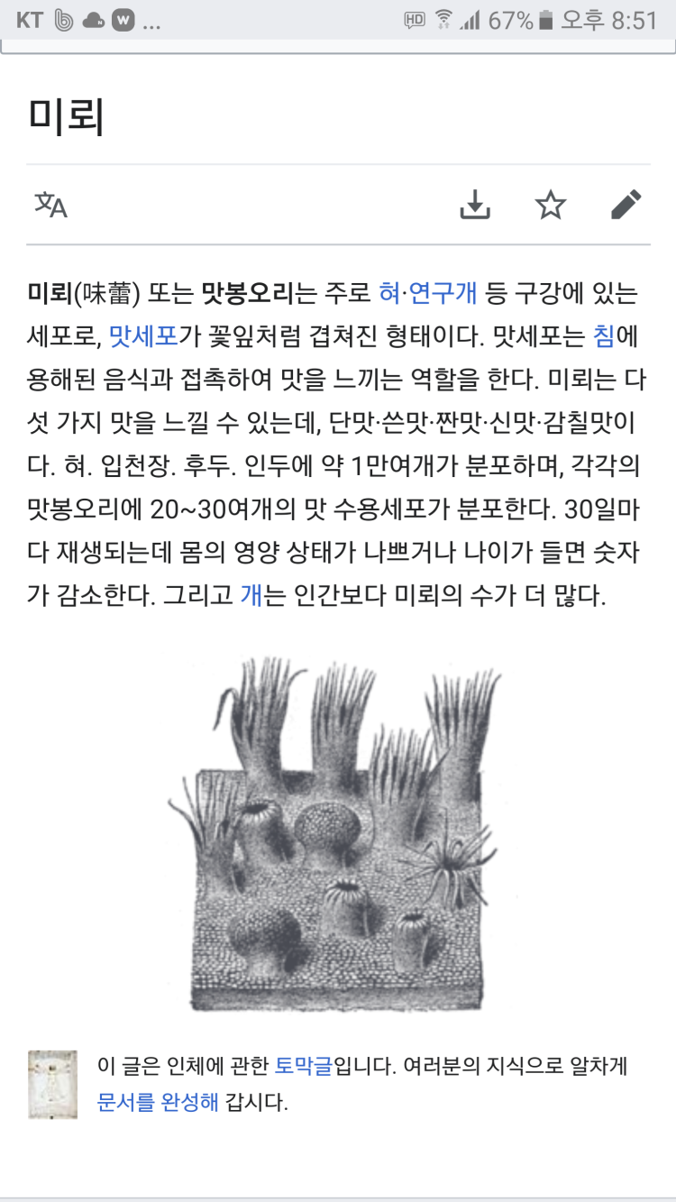 과학 감각 기관 중 미각에 대한 건데요 : 지식iN