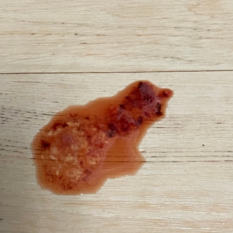 강아지 피똥 싸는 원인이 뭔가요? : 지식iN