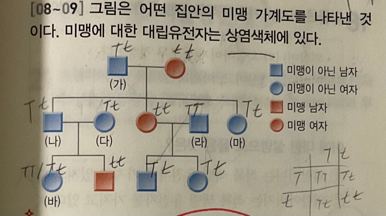 생식과 유전 가계도 질문 : 지식iN