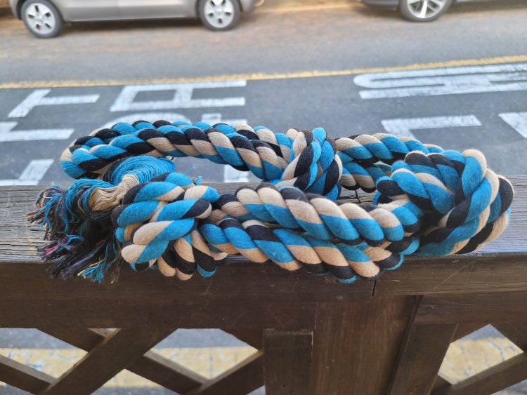 진돗개 호구 4살 수컷을 키우고 있는데요 : 지식iN