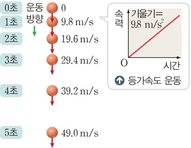 중 3 과학 시간 - 속력 그래프 질문 : 지식iN