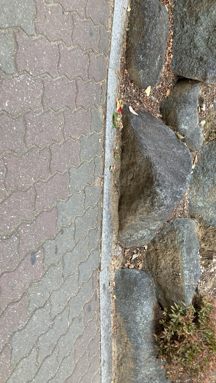 조경석 종류 질문(석면) : 지식iN