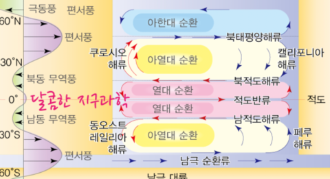 적도 반류 : 네이버 지식iN