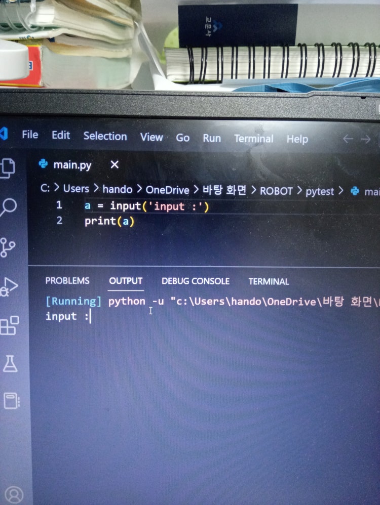 Vscode Input iN Vscode input in