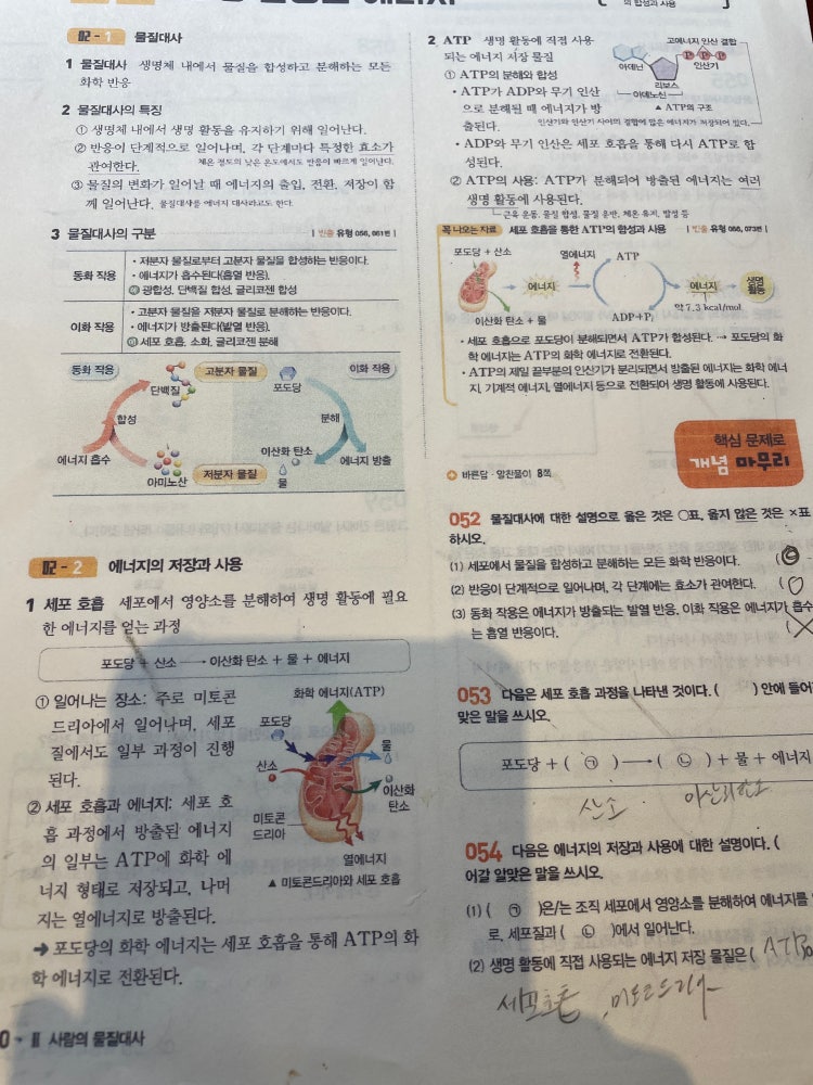 생명과학 문제 풀고 있는데 이 책 이름이 뭔가요 : 지식iN 생명과학 문제 풀고 있는데 이 책 이름이 뭔가요 : 지식In