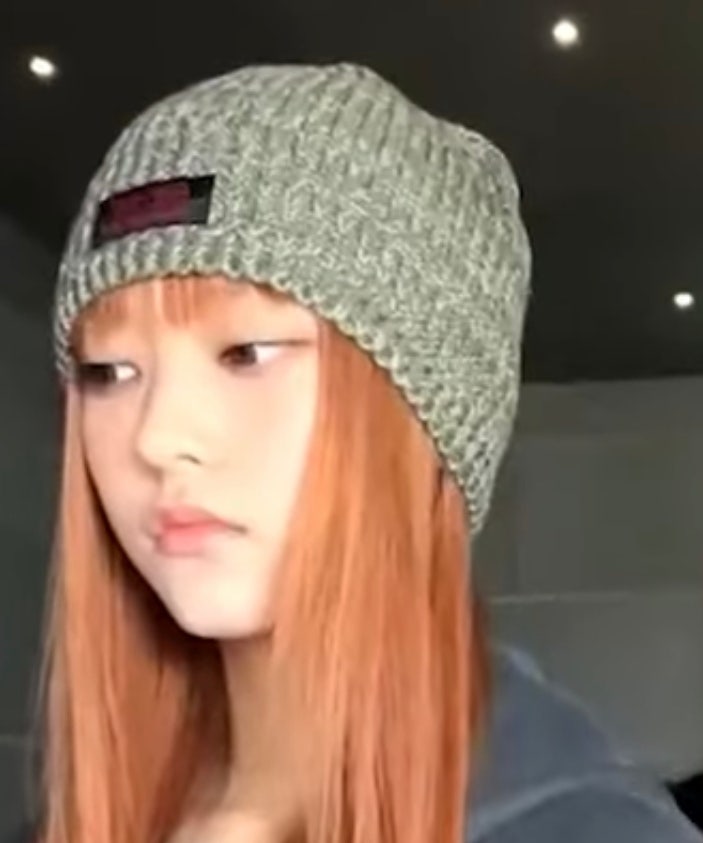 뉴진스 해린 비니 지식iN