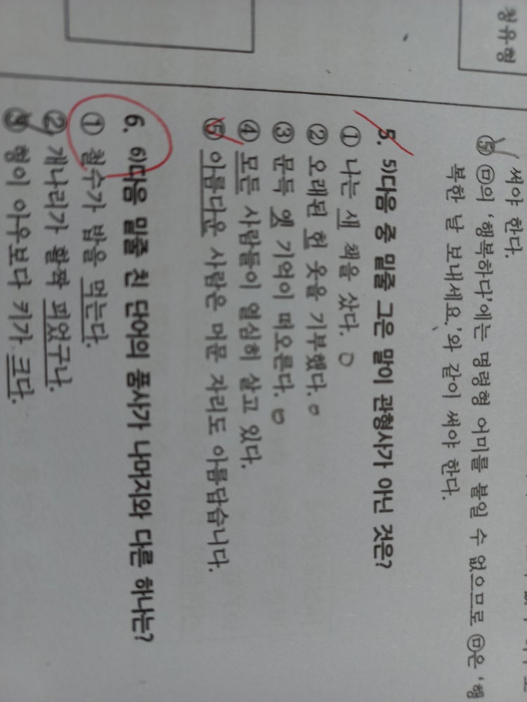 문법 품사 : 지식iN