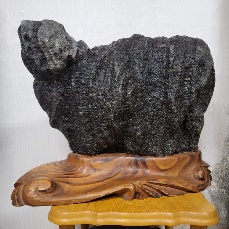 수석 감정 : 지식iN