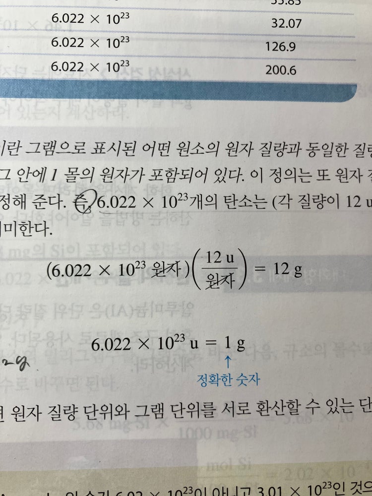 amu-g-in