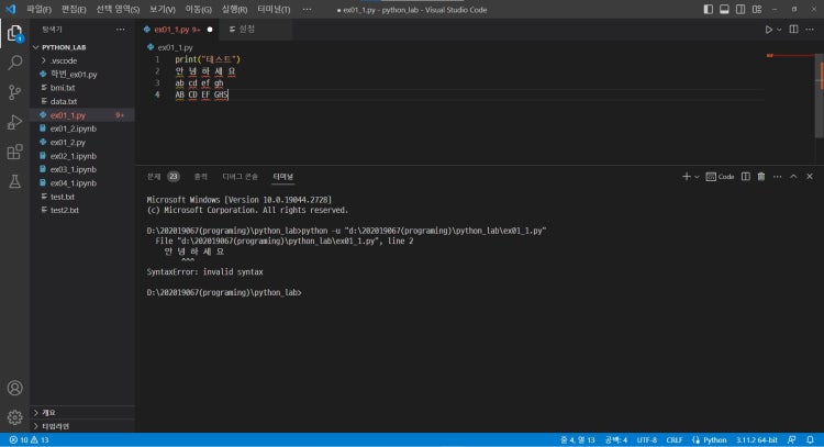 vscode 오류 SyntaxError : invalid syntax : 네이버 지식iN