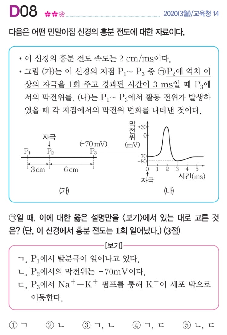 생명1 자극과반응 흥분전도 : 지식iN