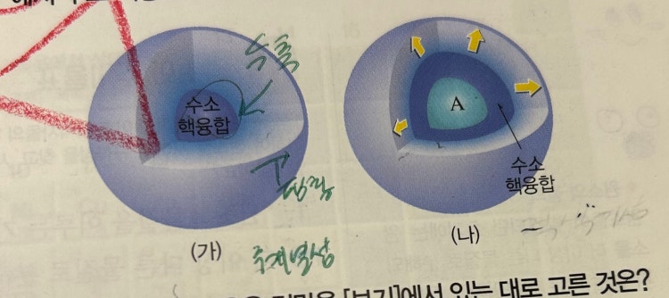 적색거성 질문 : 지식iN