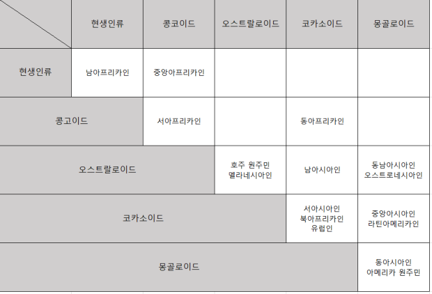 제가 만든 인종 분류표 평가좀 해주세요 : 지식iN