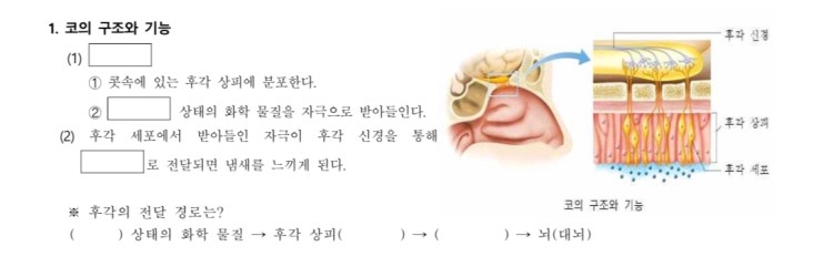 과학 후각 프린트 빈칸 좀 알려주세요ㅠㅠ : 지식iN