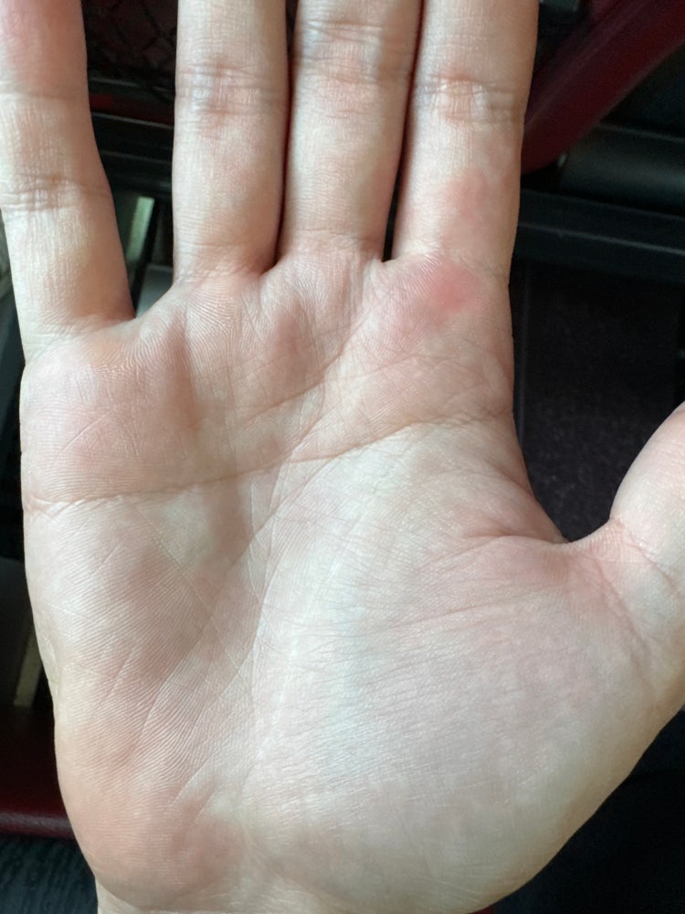 오른손 일자손금 : 지식In