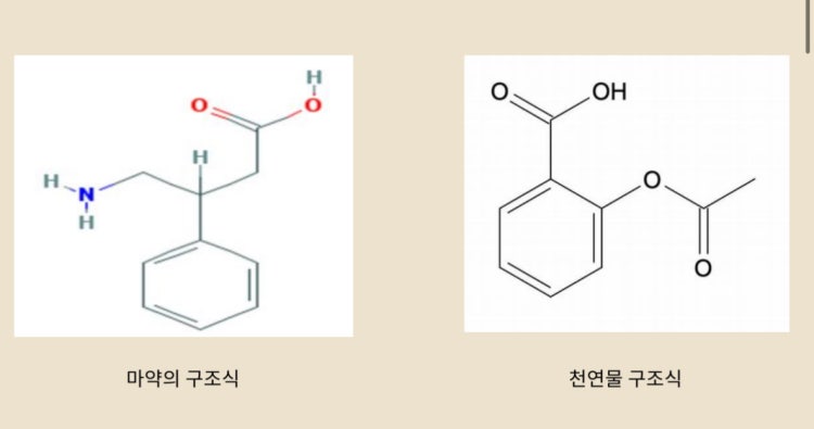 화학 구조식 물질 이름 : 지식iN