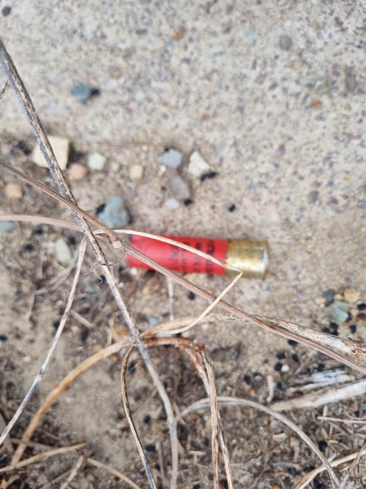 산탄총 벅샷 탄피 : 지식iN